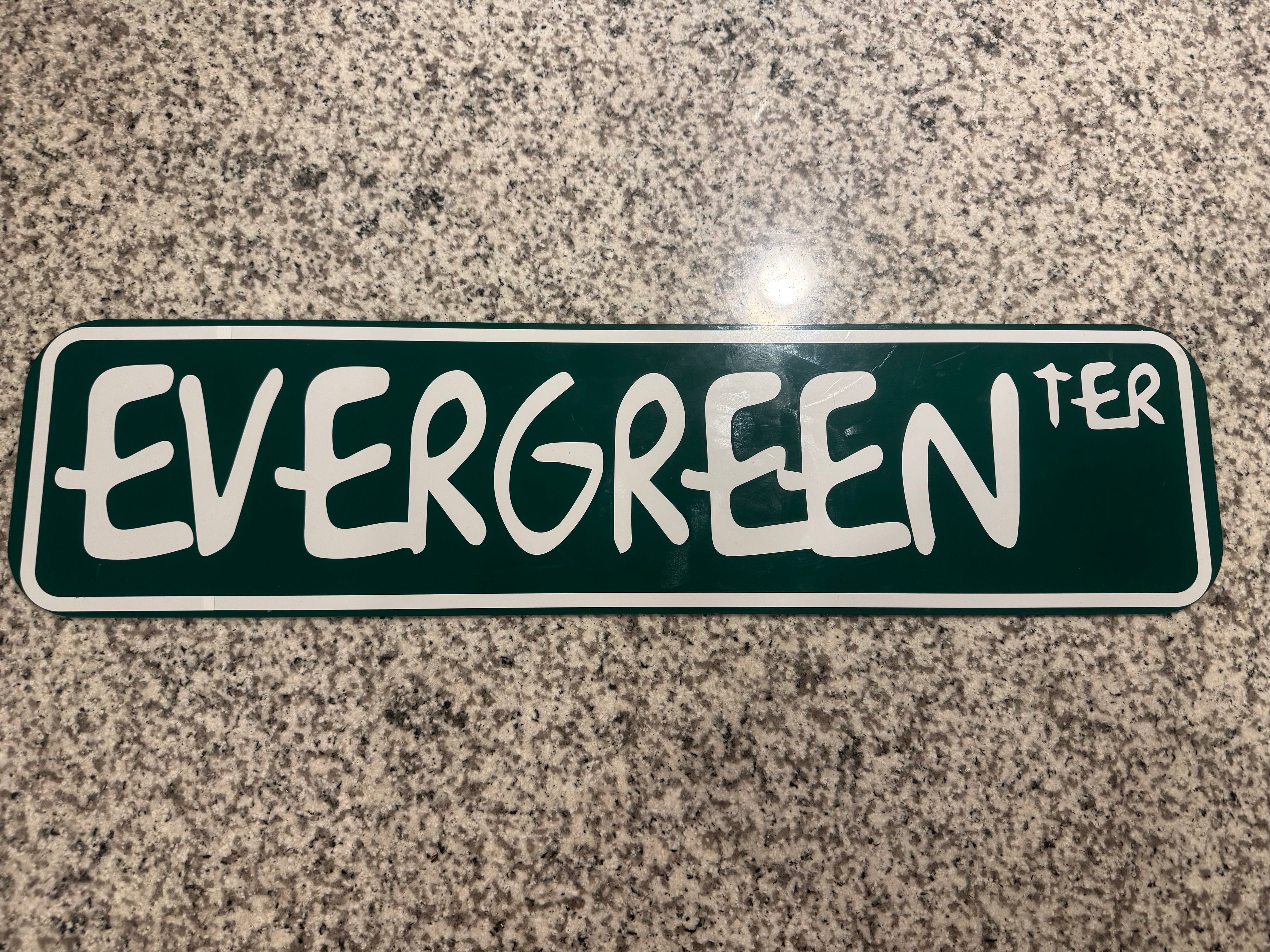 Custom Evergreen Terrace Street Sign